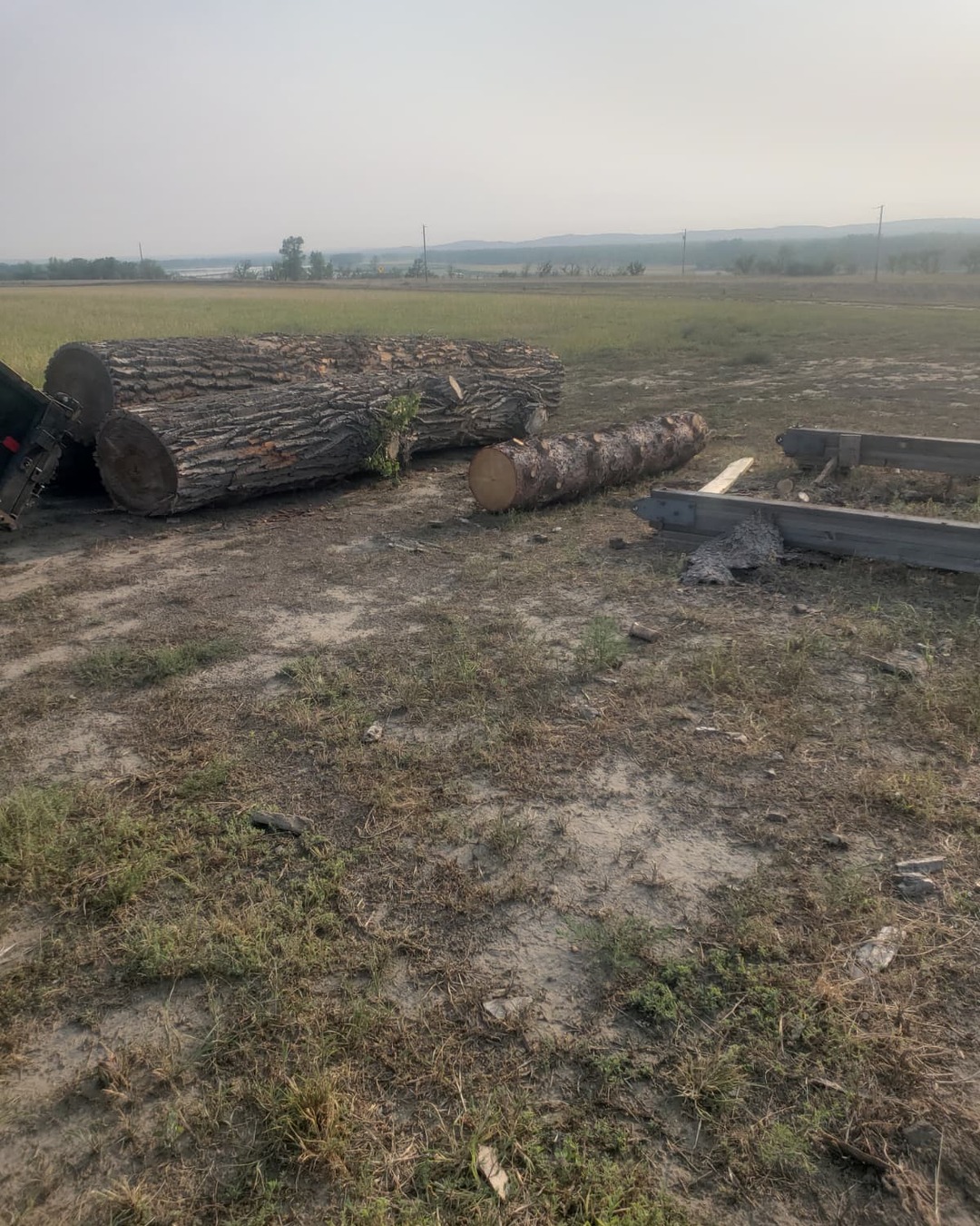Stacked tree trunks and logs cleared from a North Dakota field